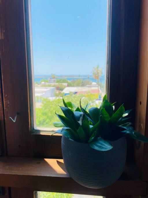 Casa Bahia 2 Blocks Malecon Amaizing Ocean View Apartment Ла Пас Екстериор снимка