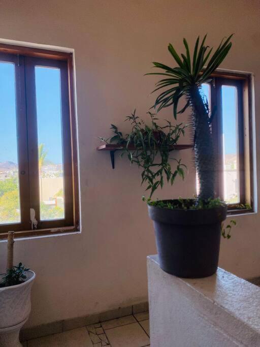 Casa Bahia 2 Blocks Malecon Amaizing Ocean View Apartment Ла Пас Екстериор снимка